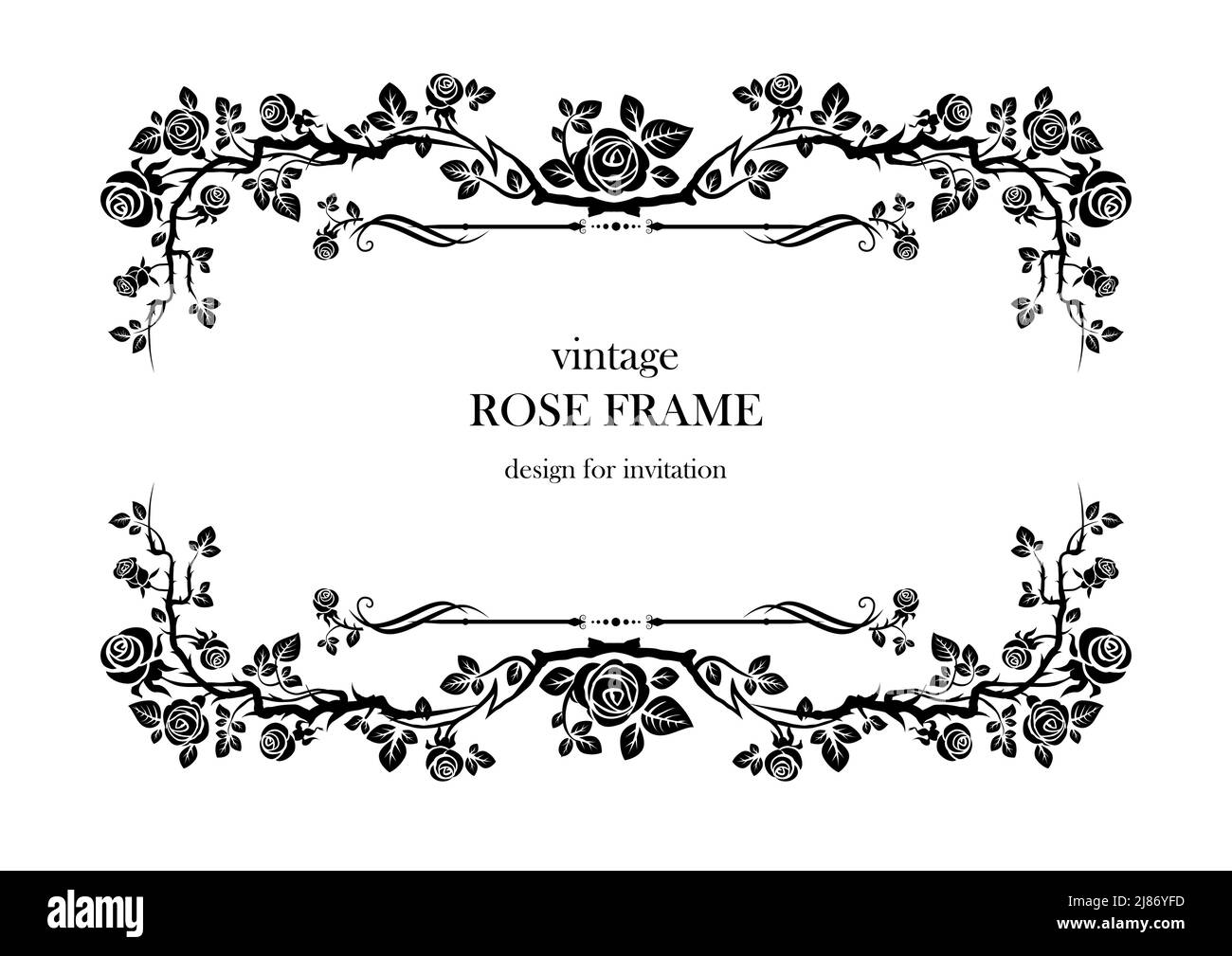 Ornamental rose rosa the fairy Stock Vector Images Alamy