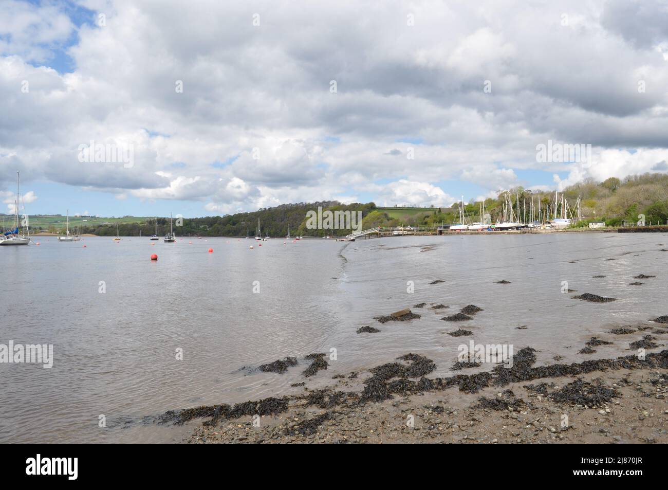Looking north on the River Tamar at Weir Quay, Devon, England, UK. Stock Photo