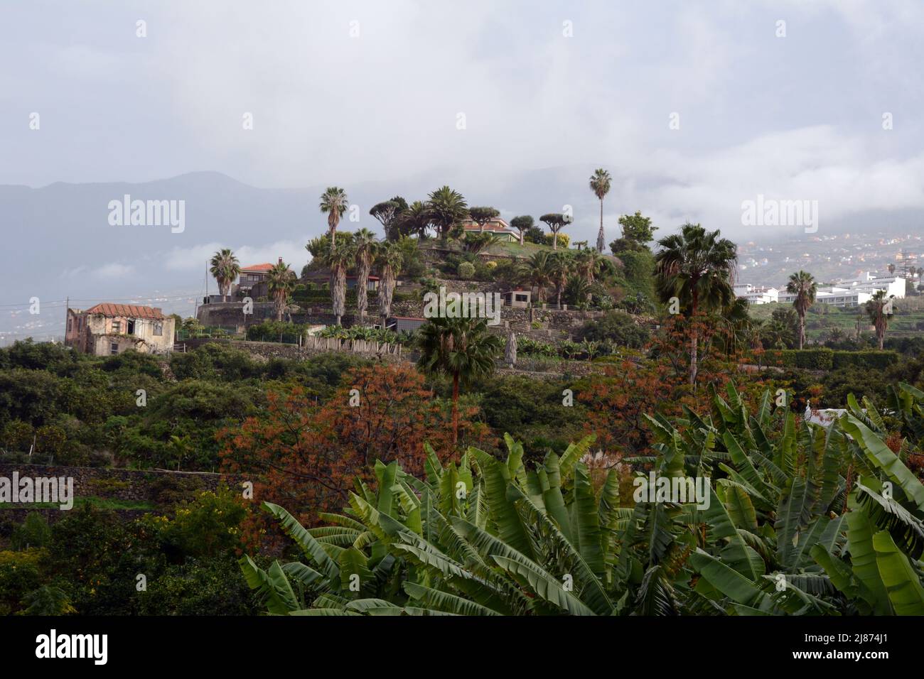 A Spanish finca, or farming plantation, near the town of Los Realejos, on the island of Tenerife, Canary Islands, Spain. Stock Photo