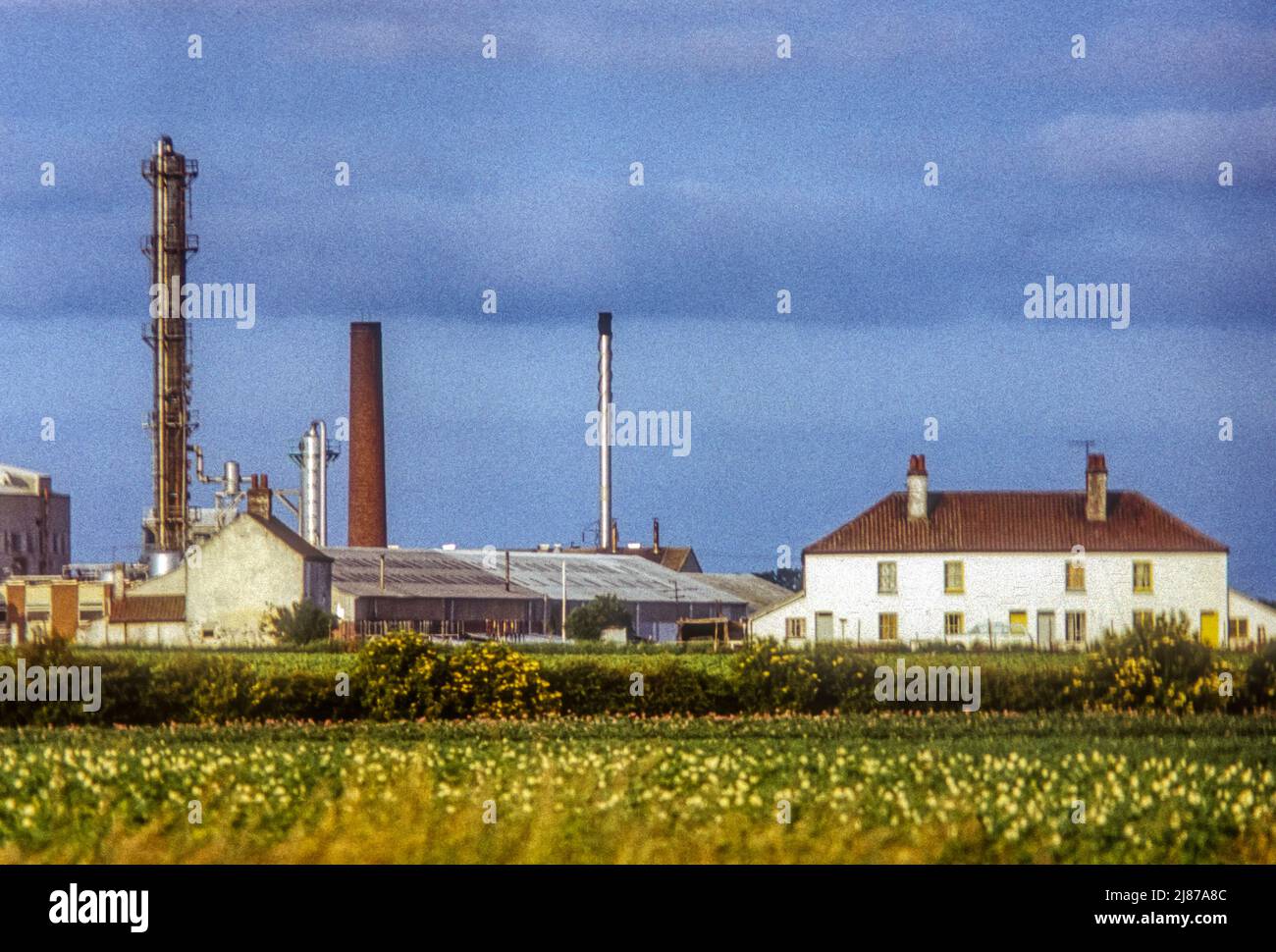 1975 kings lynn hires stock photography and images Alamy