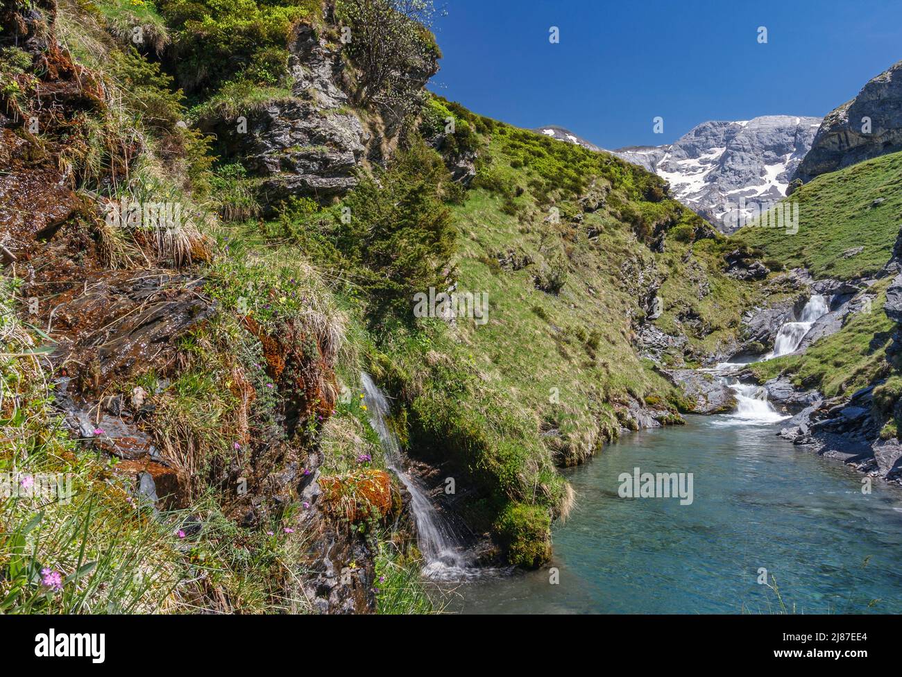 Small waterfalls at Ossou valley, Hautes Pyrenees National Park, France Stock Photo