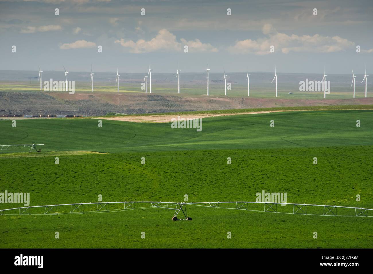 Wind Towers add diversification to the rural farming lifestyle of Bliss