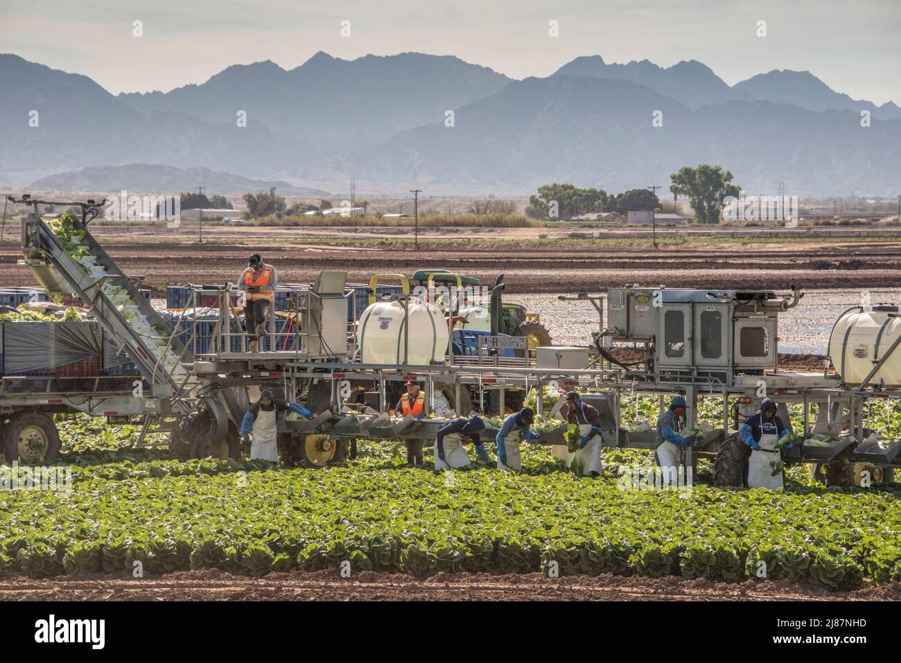 Migrant workers usa hi-res stock photography and images - Alamy