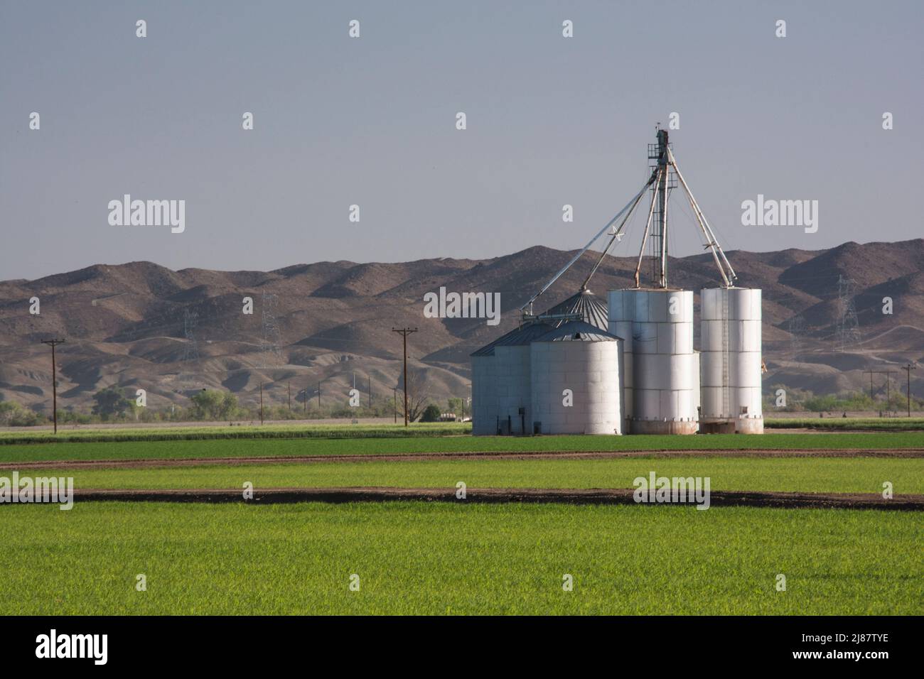 Silos and grain farming near Yuma, Arizona, USA Stock Photo Alamy