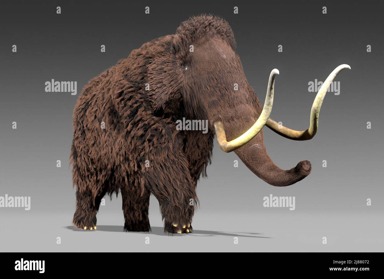 Artwork of a Woolly Mammoth Stock Photo - Alamy