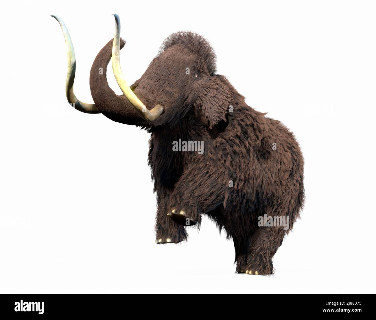 Artwork of a Woolly Mammoth Stock Photo