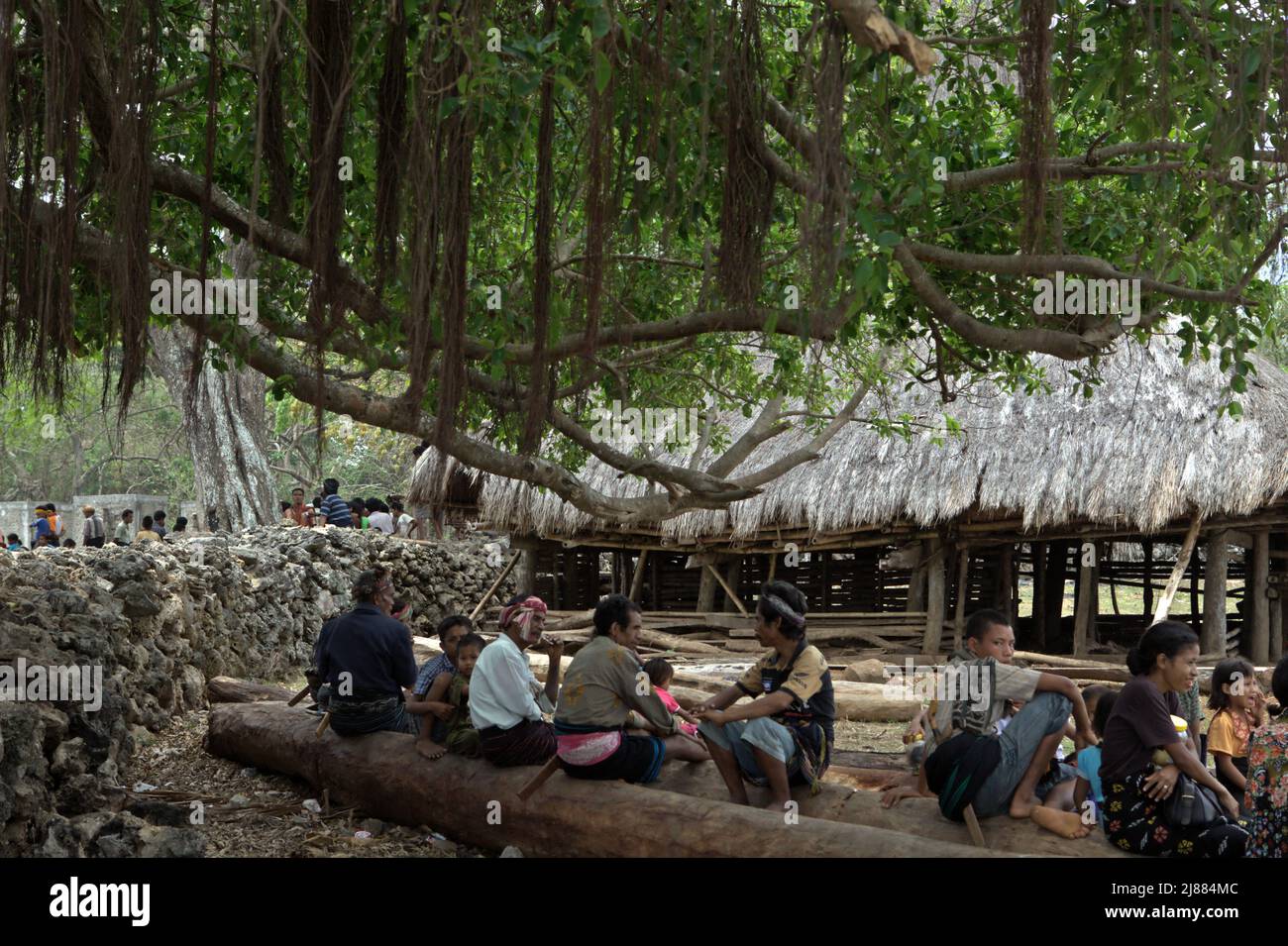 Villagers relaxing below a tree, taking a break from the preparation of a ritual of house construction and inauguration in Ratenggaro village, Umbu Ngedo, Kodi Bangedo, Southwest Sumba, East Nusa Tenggara, Indonesia. Stock Photo