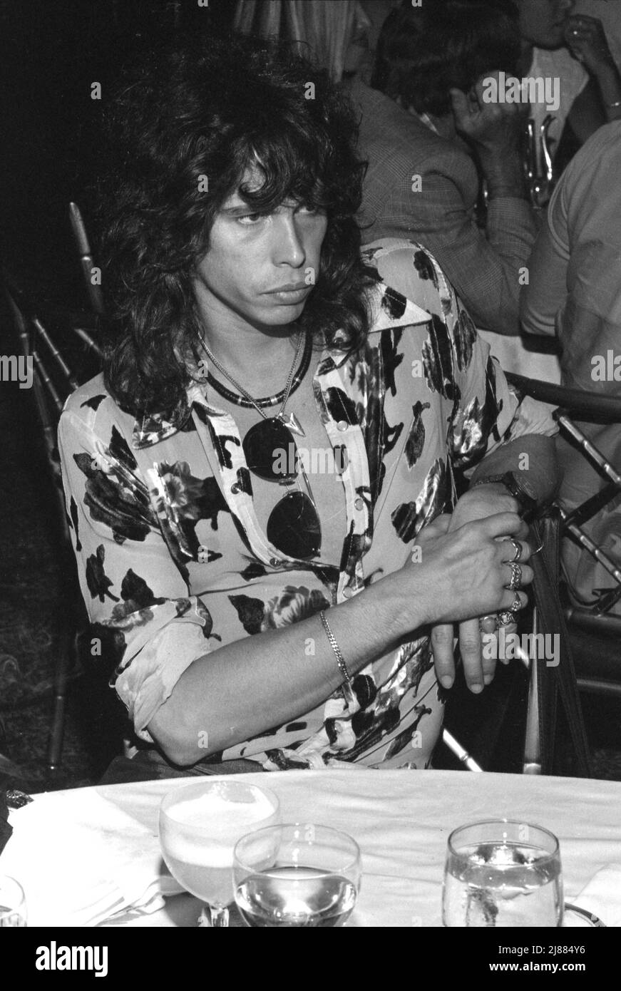 Steven Tyler 1978 Credit: Ralph Dominguez/MediaPunch Stock Photo - Alamy