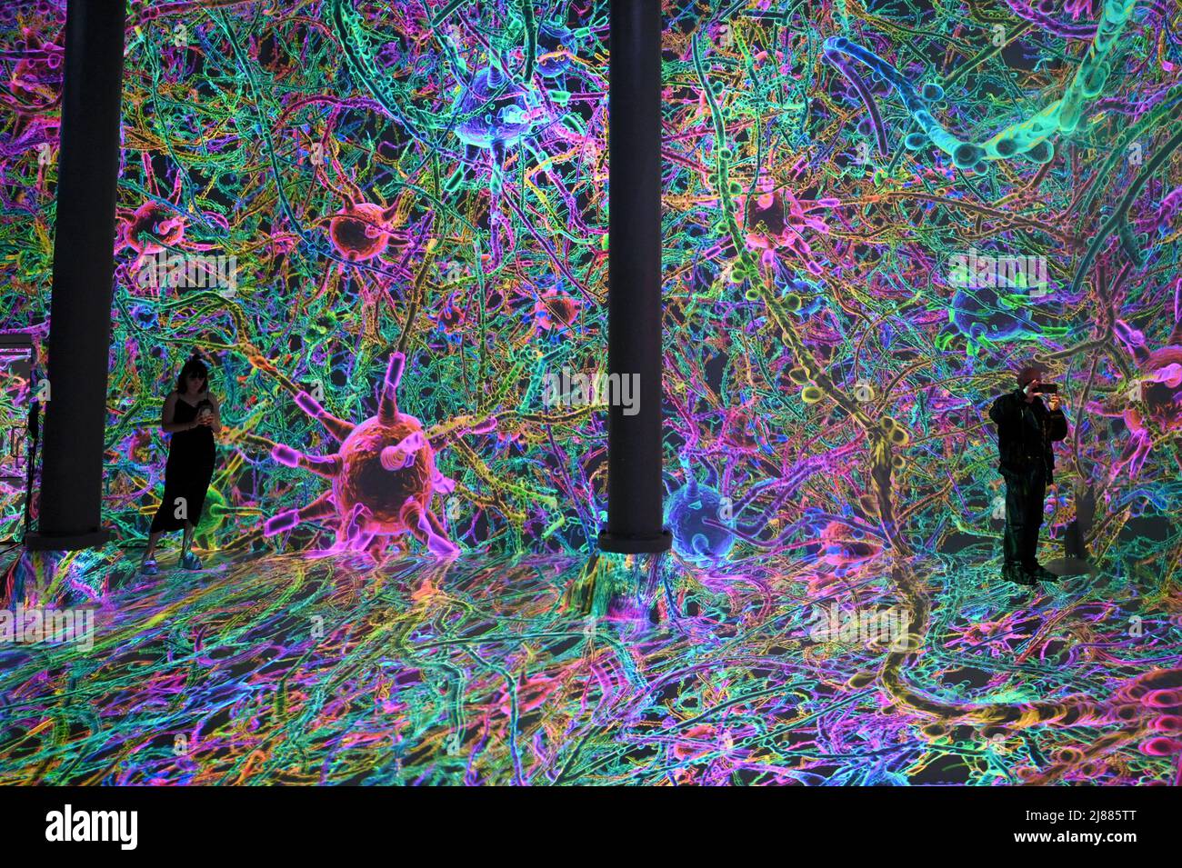 ARTECHOUSE PRESENTS LIFE OF A NEURON — THE GROUNDBREAKING EXHIBITION THAT  TELLS THE STORY OF THE GREATEST MYSTERY OF THE HUMAN BRAIN — IS COMING TO NEW  YORK CITY THIS SUMMER