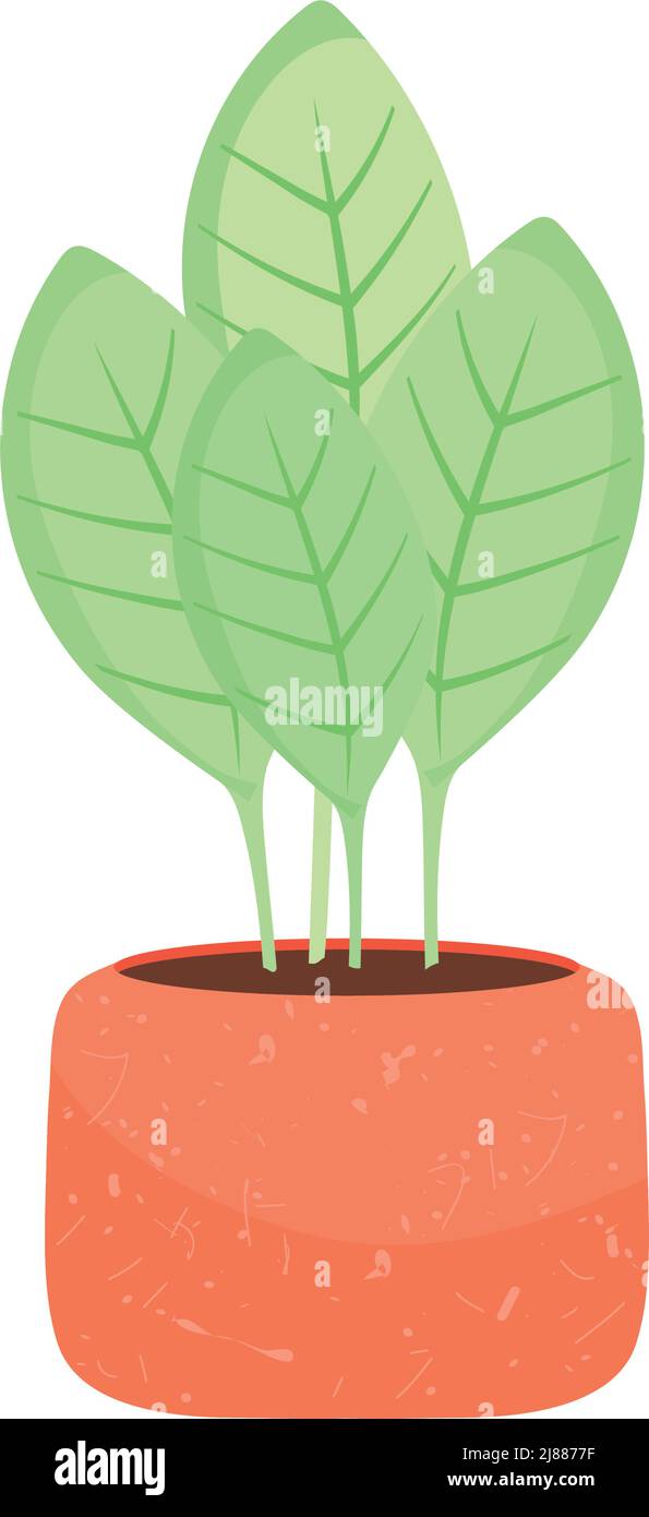 decorative indoor plant Stock Vector Image & Art - Alamy