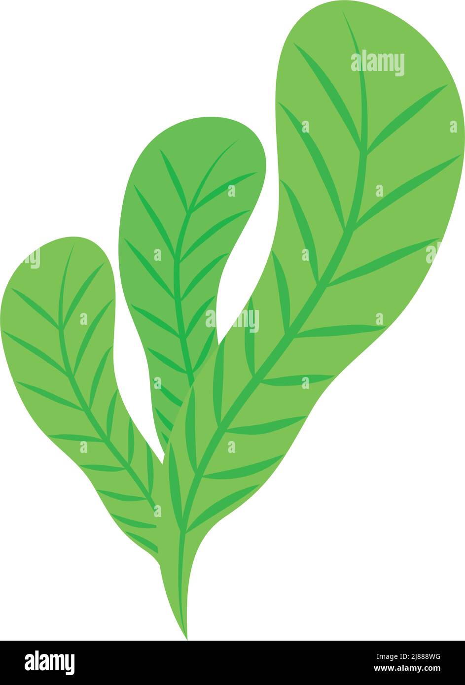 green leaves icon Stock Vector Image & Art - Alamy
