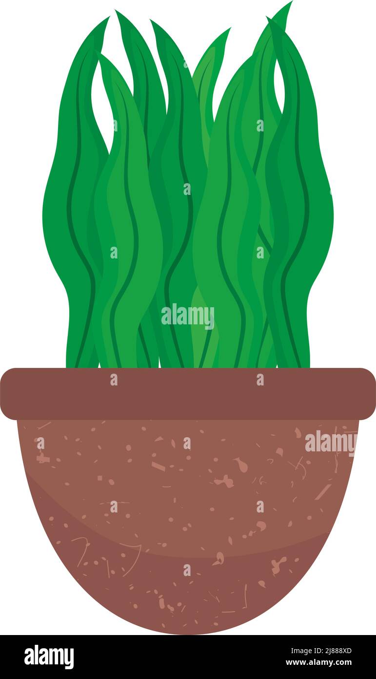 snake plant icon Stock Vector Image & Art Alamy