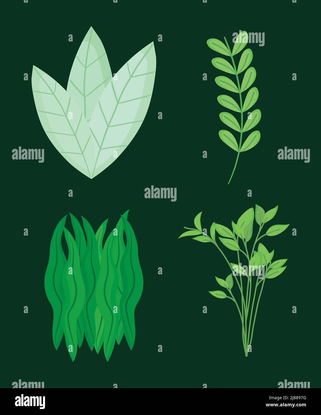 green leaves icon set Stock Vector Image & Art - Alamy