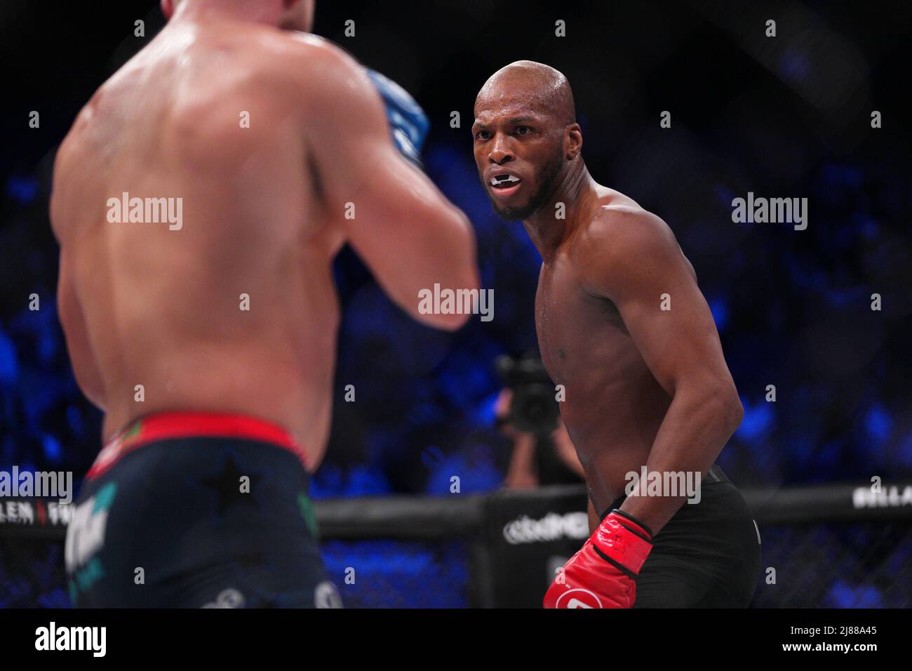 London, UK. 13th May, 2022. LONDON, ENGLAND - MAY 13: Michael “Venom” Page (red gloves) battles Logan Storley (blue gloves) in their welterweight fight during the Bellator 281: MVP v Storley event at SSE Arena on May 13, 2022, in London, England, England. (Photo by Scott Garfitt/PxImages) Credit: Px Images/Alamy Live News Stock Photo
