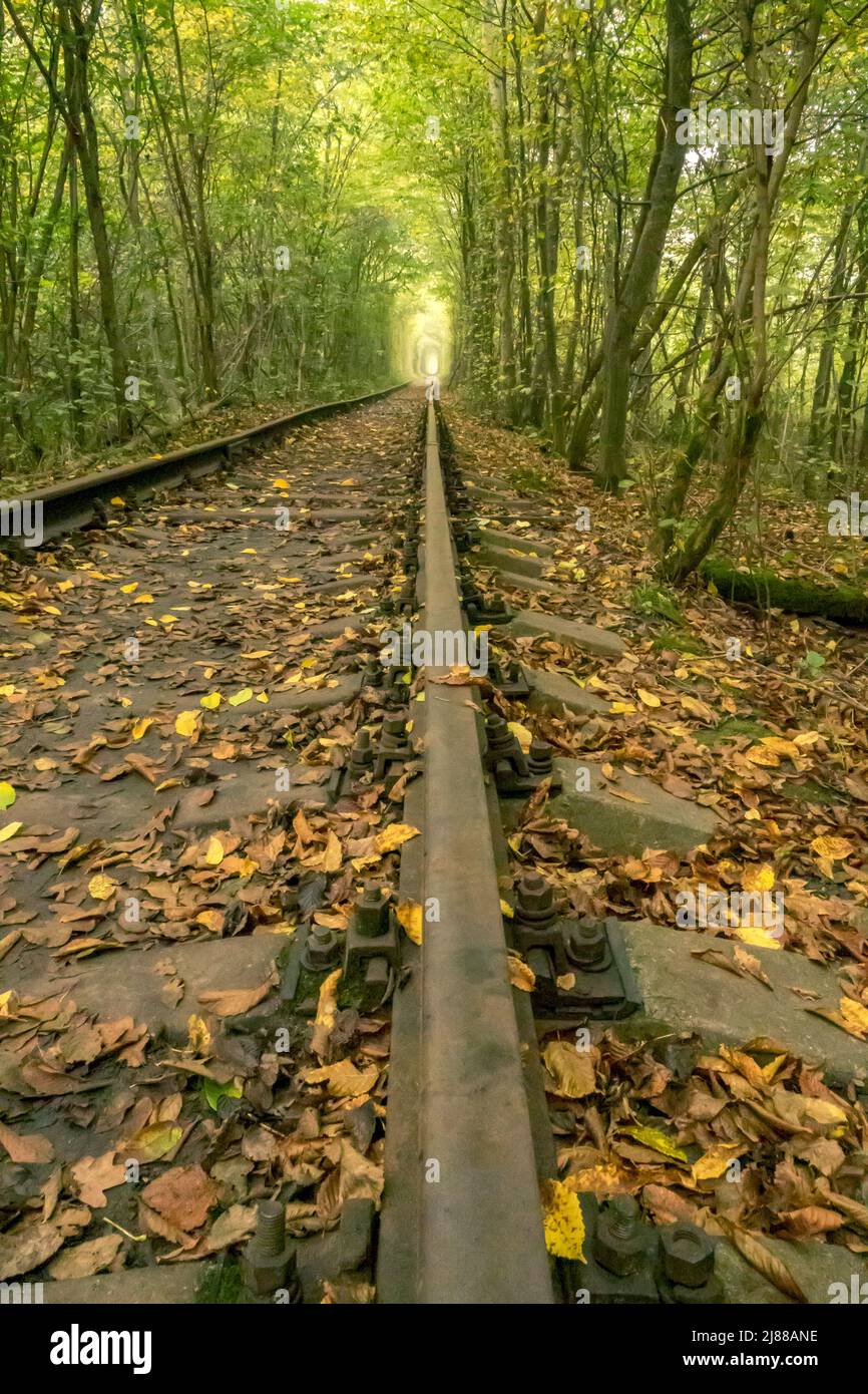 Tunnel Of Love in summer Ukraine. Rivne region. Railway in the dense deciduous forest Stock Photo