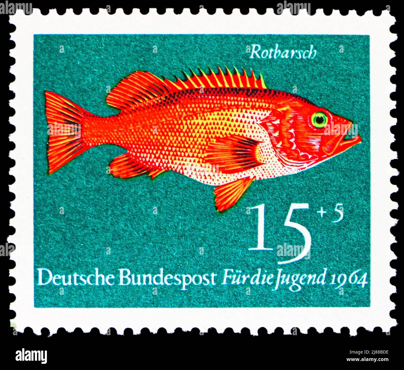 MOSCOW, RUSSIA - APRIL 10, 2022: Postage stamp printed in Germany shows Norway Redfish (Sebastes viviparus), Youth: Fish serie, circa 1964 Stock Photo