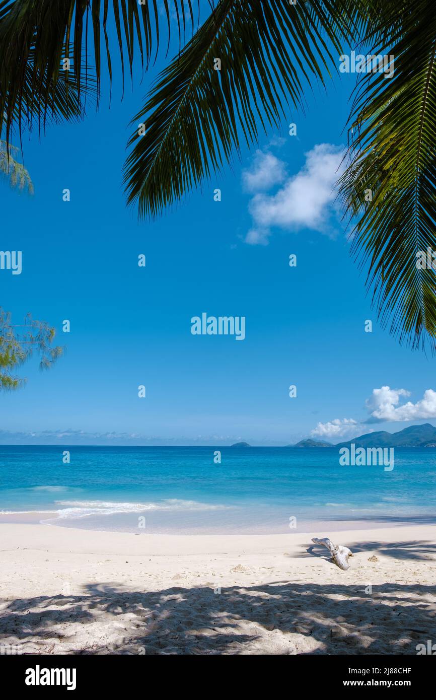 anse-intendance-beach-mahe-seychelles-tropical-beach-with-palm-trees