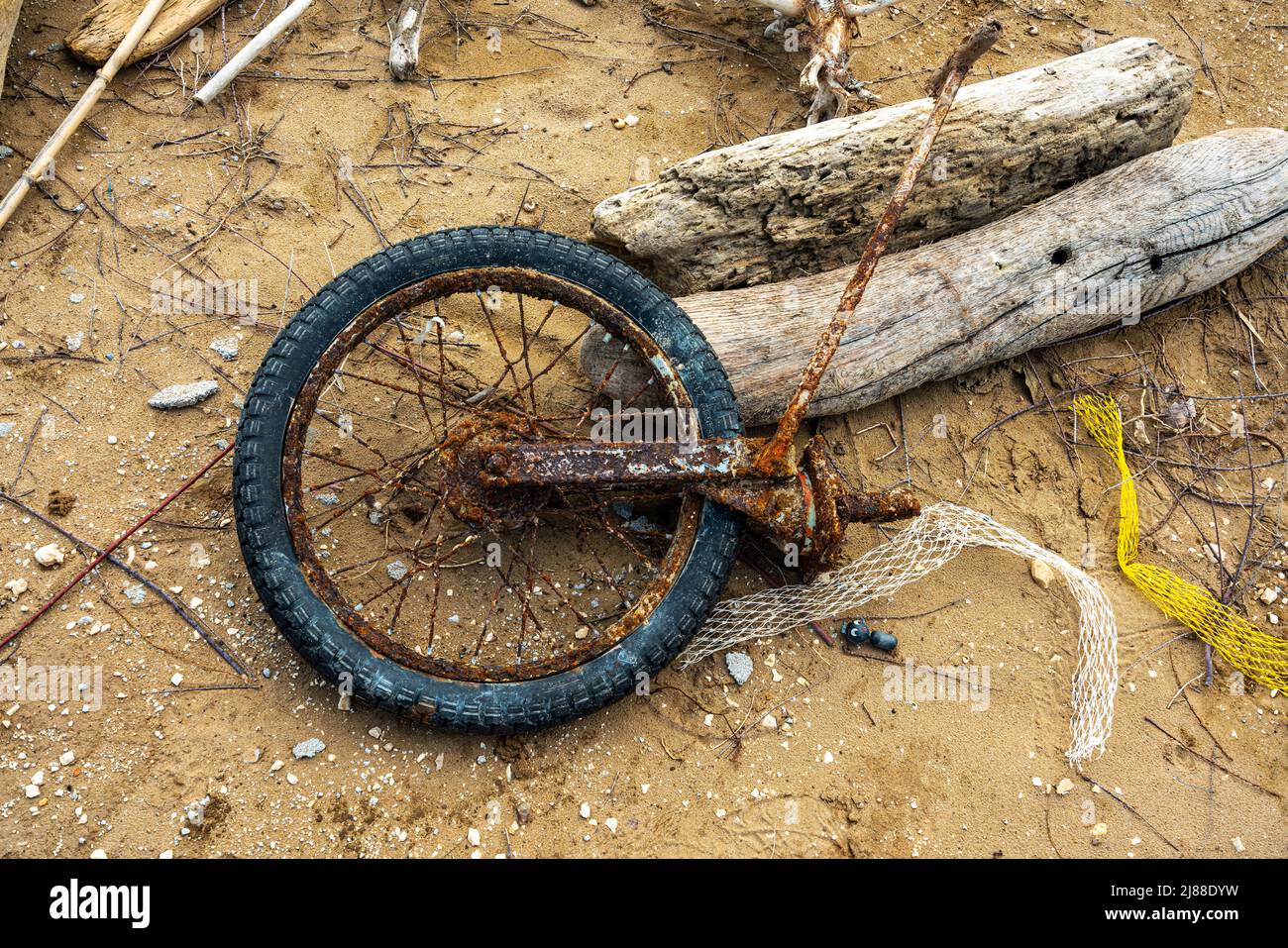 Remains of a rusty bicycle and trunks brought to the beach by the storm. Puglia, Italy, Europe Stock Photo