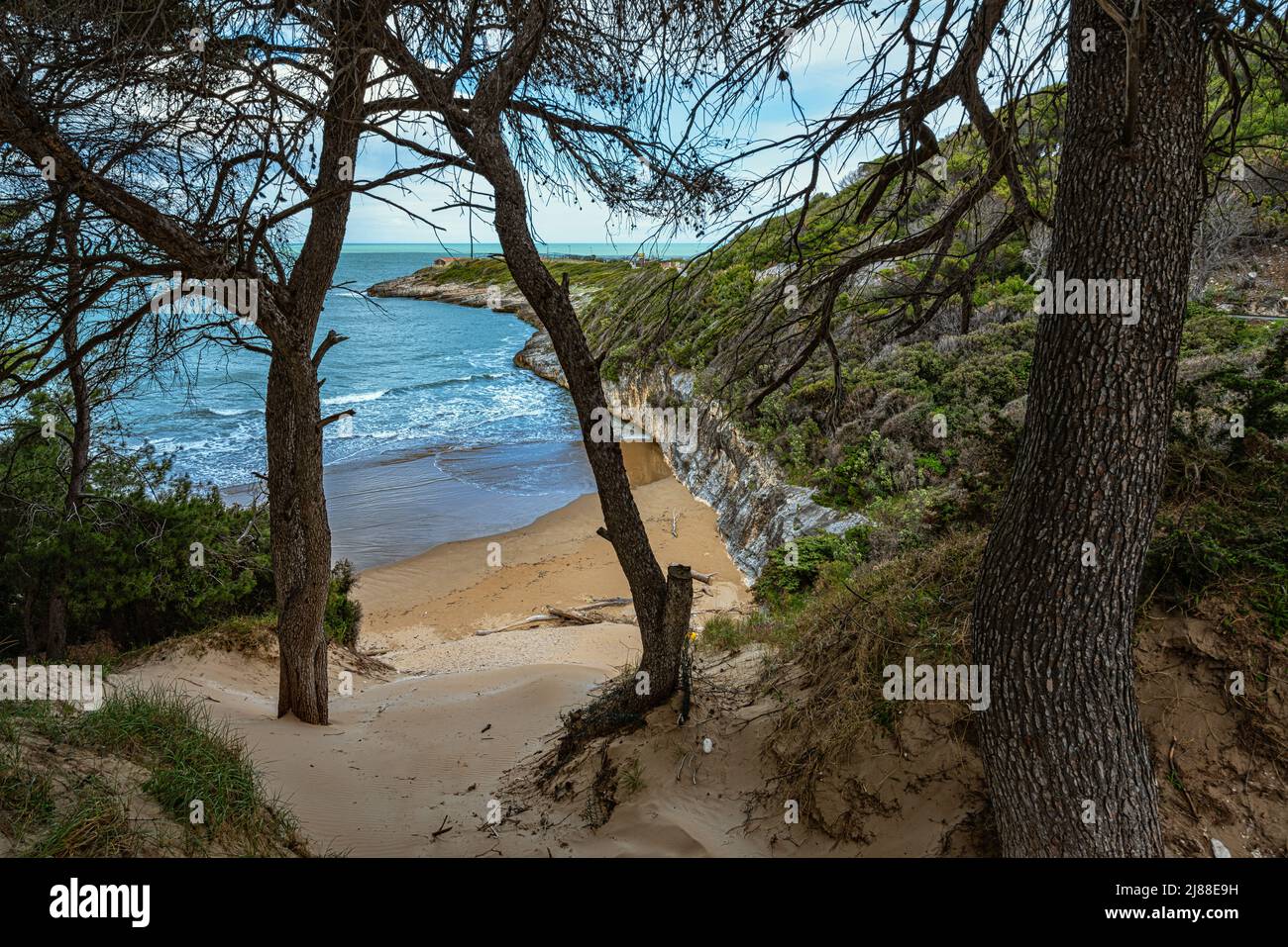 Top view of the sandy bay of Spiaggia Stretta in the Gargano promontory. Gargano, Puglia, Italy, Europe Stock Photo