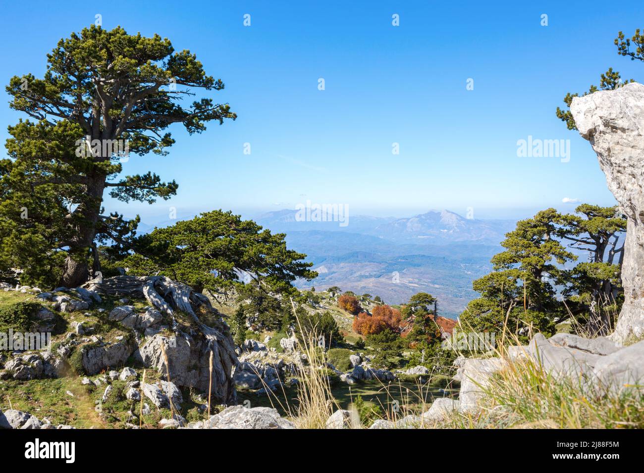 View from Serra Di Crispo, Pollino National Park, southern Italy. Stock Photo