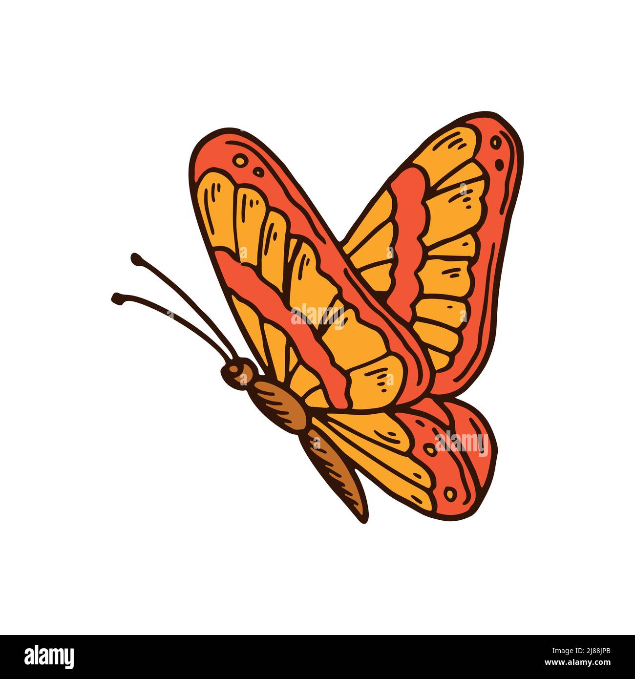 Hand drawn colorful orange butterfly. Vector illustration Stock Vector