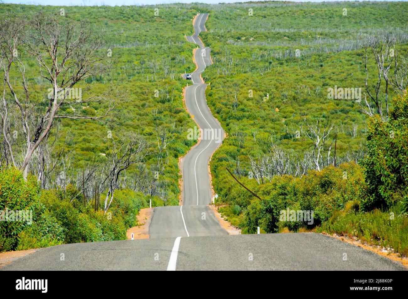 Flinders Chase National Park - Kangaroo Island Stock Photo