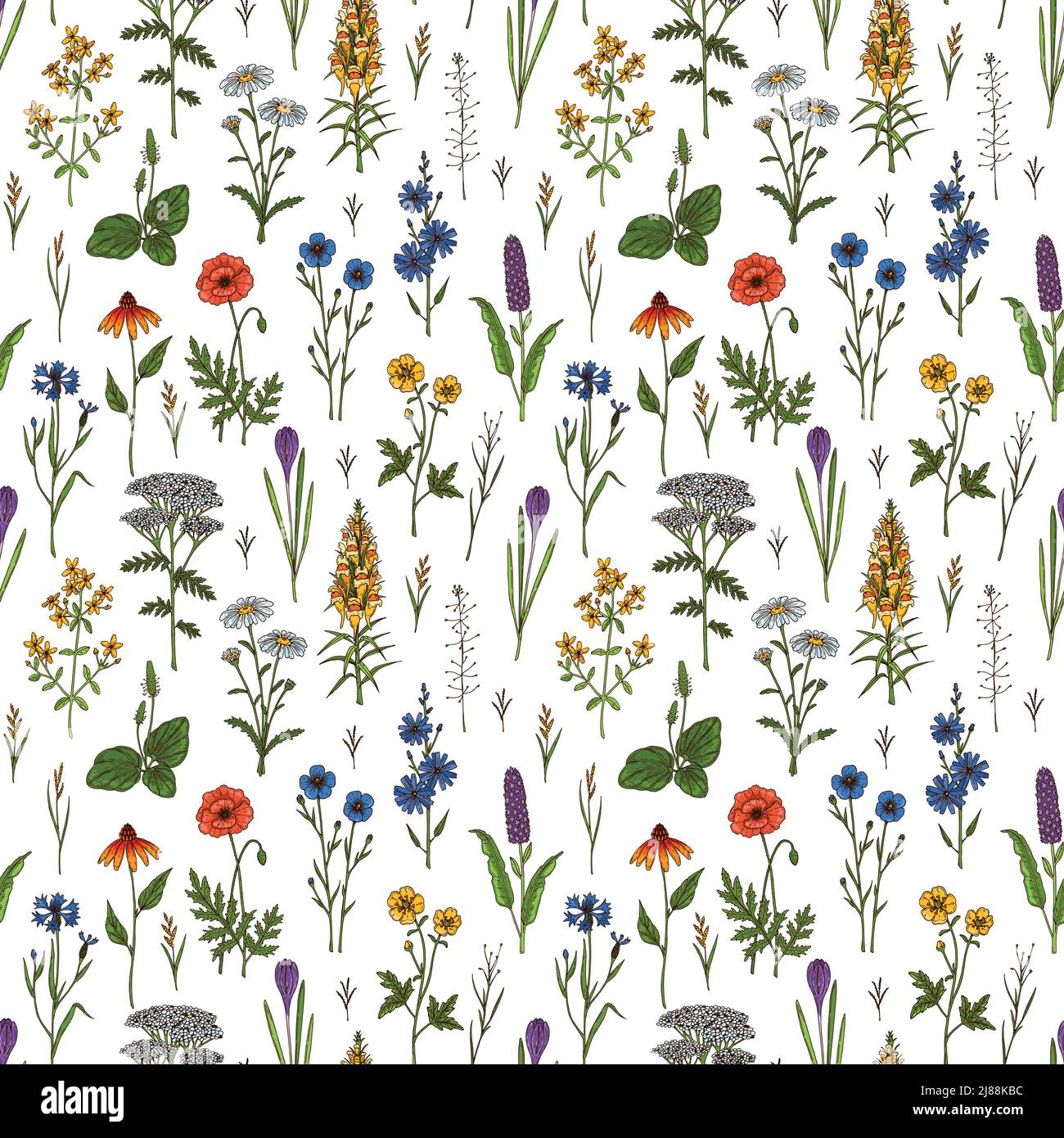 Meadow flowers summer seamless pattern. Colorful hand drawn vector ...