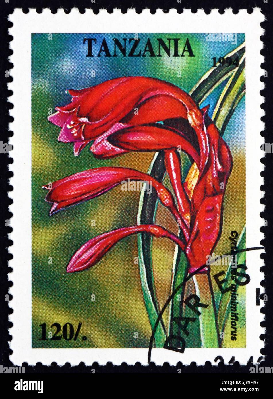 TANZANIA - CIRCA 1994: a stamp printed in the Tanzania shows Cyrtanthus Minimiflorus, Plant, circa 1994 Stock Photo