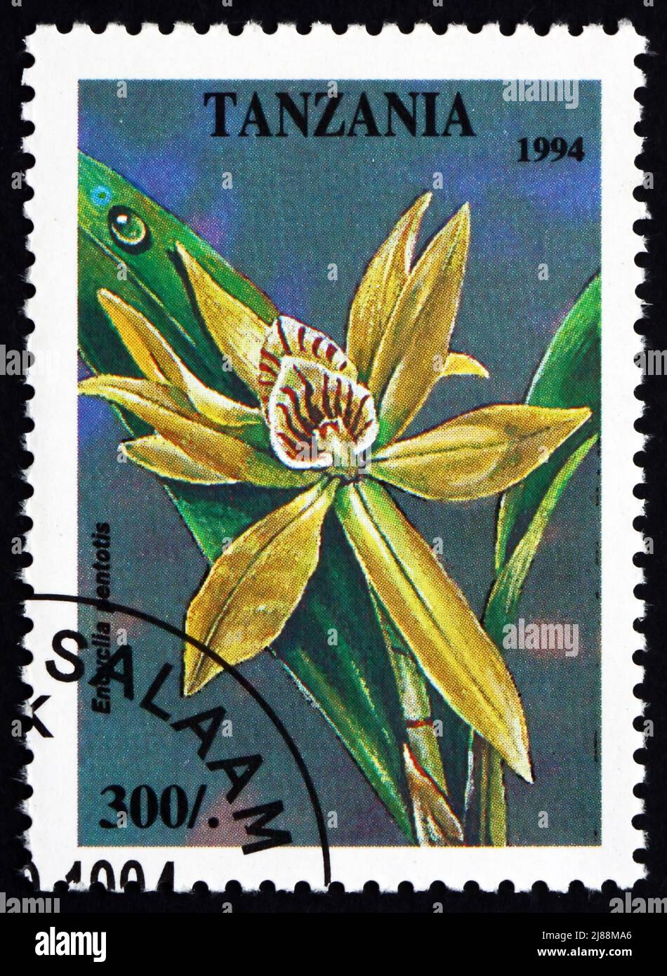 TANZANIA - CIRCA 1994: a stamp printed in the Tanzania shows Stake-like Anacheilium, Encyclia Pentotis, Orchid, circa 1994 Stock Photo