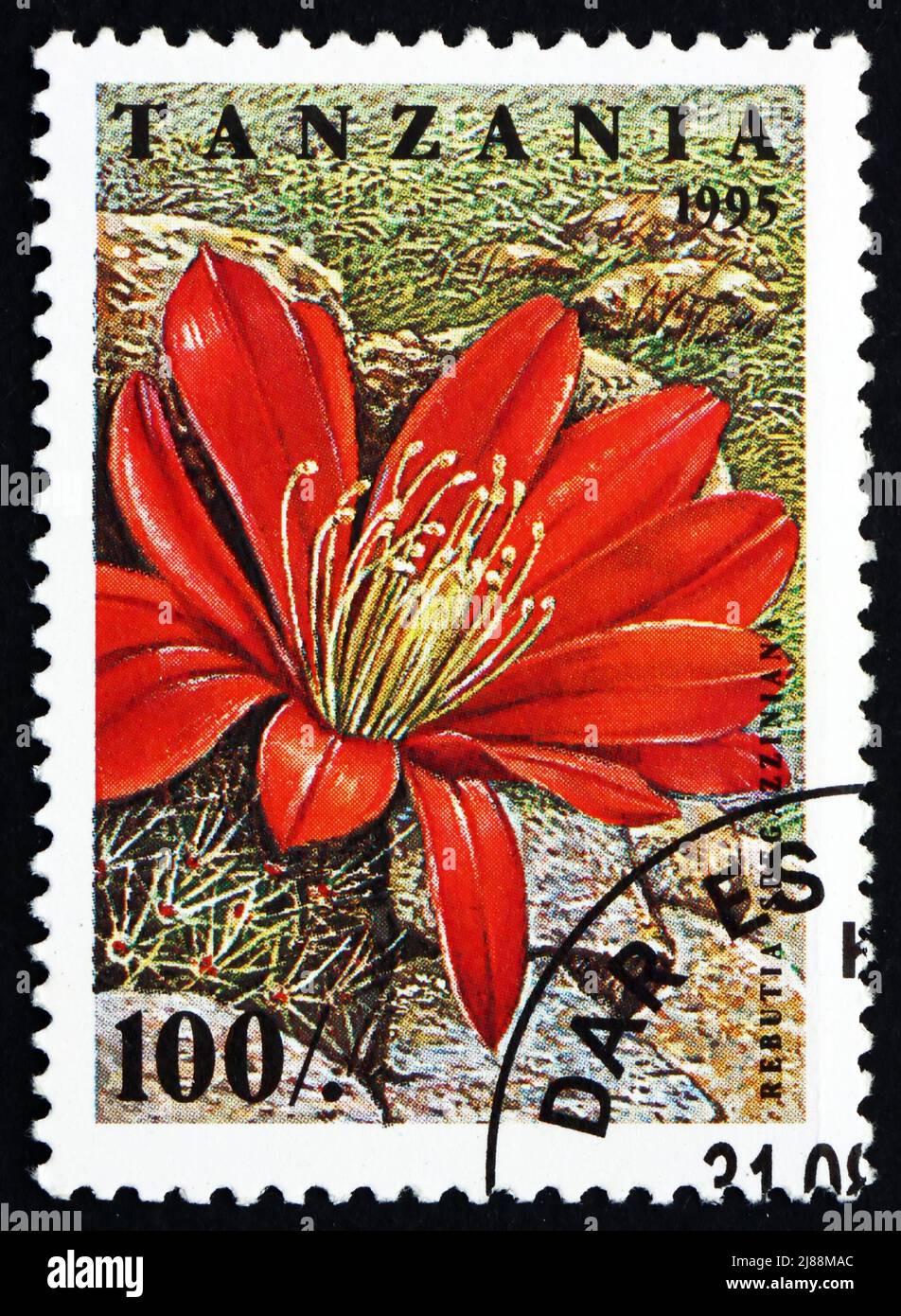 TANZANIA - CIRCA 1995: a stamp printed in the Tanzania shows Rebutia Spegazziniana, Cactus Flower, circa 1995 Stock Photo