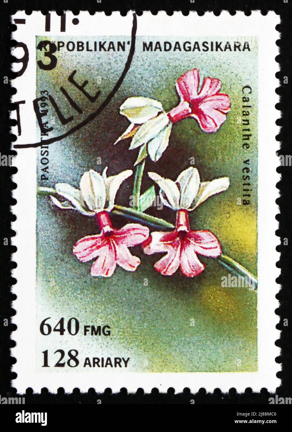 REPUBLICA MALAGASY - CIRCA 1993: a stamp printed in the Malagasy (Madagascar) shows Calanthe Vestita, Orchid, circa 1993 Stock Photo