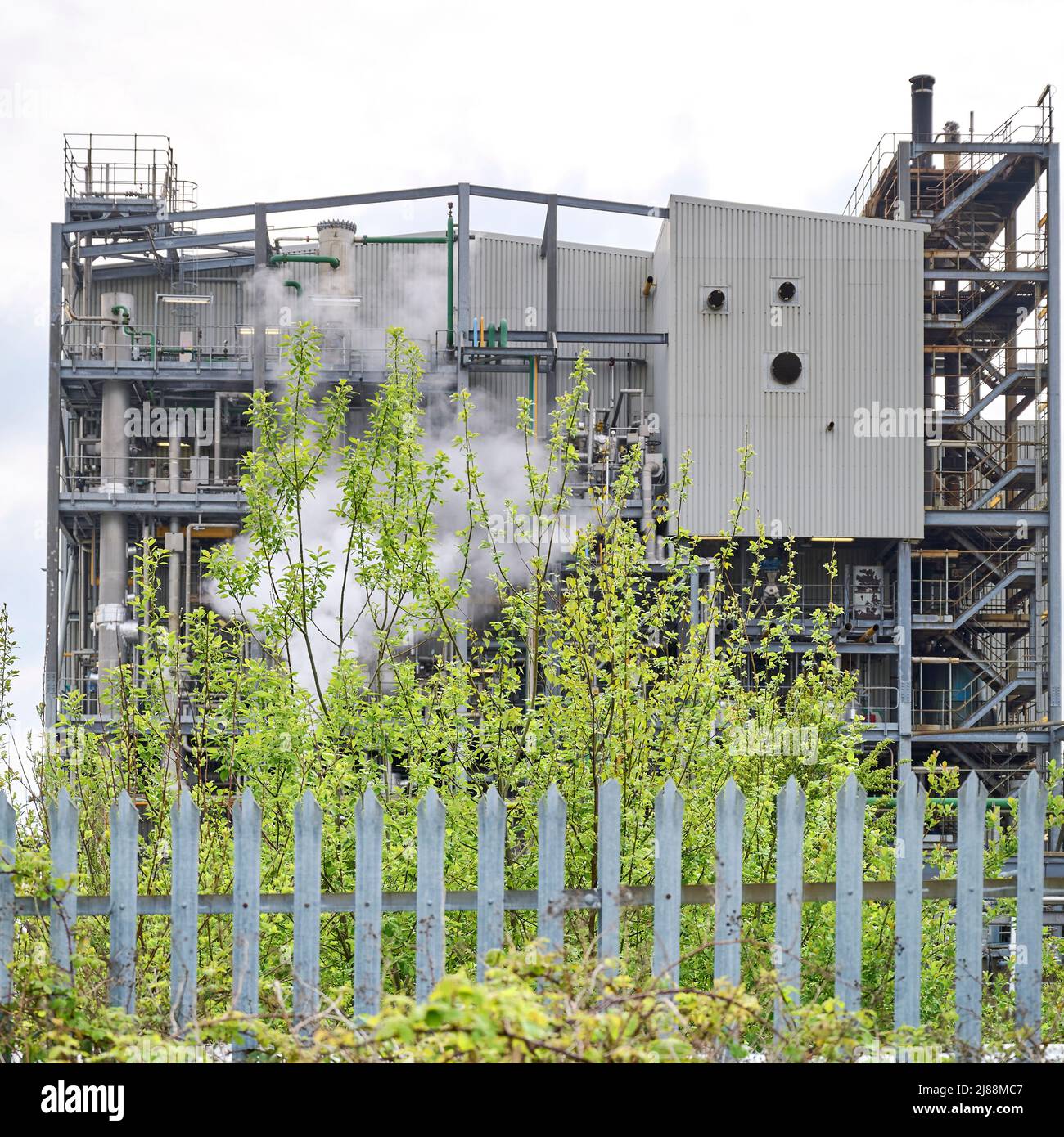 Exterior side wall of Victrex chemical processing plant and budding tree in springtime Stock Photo