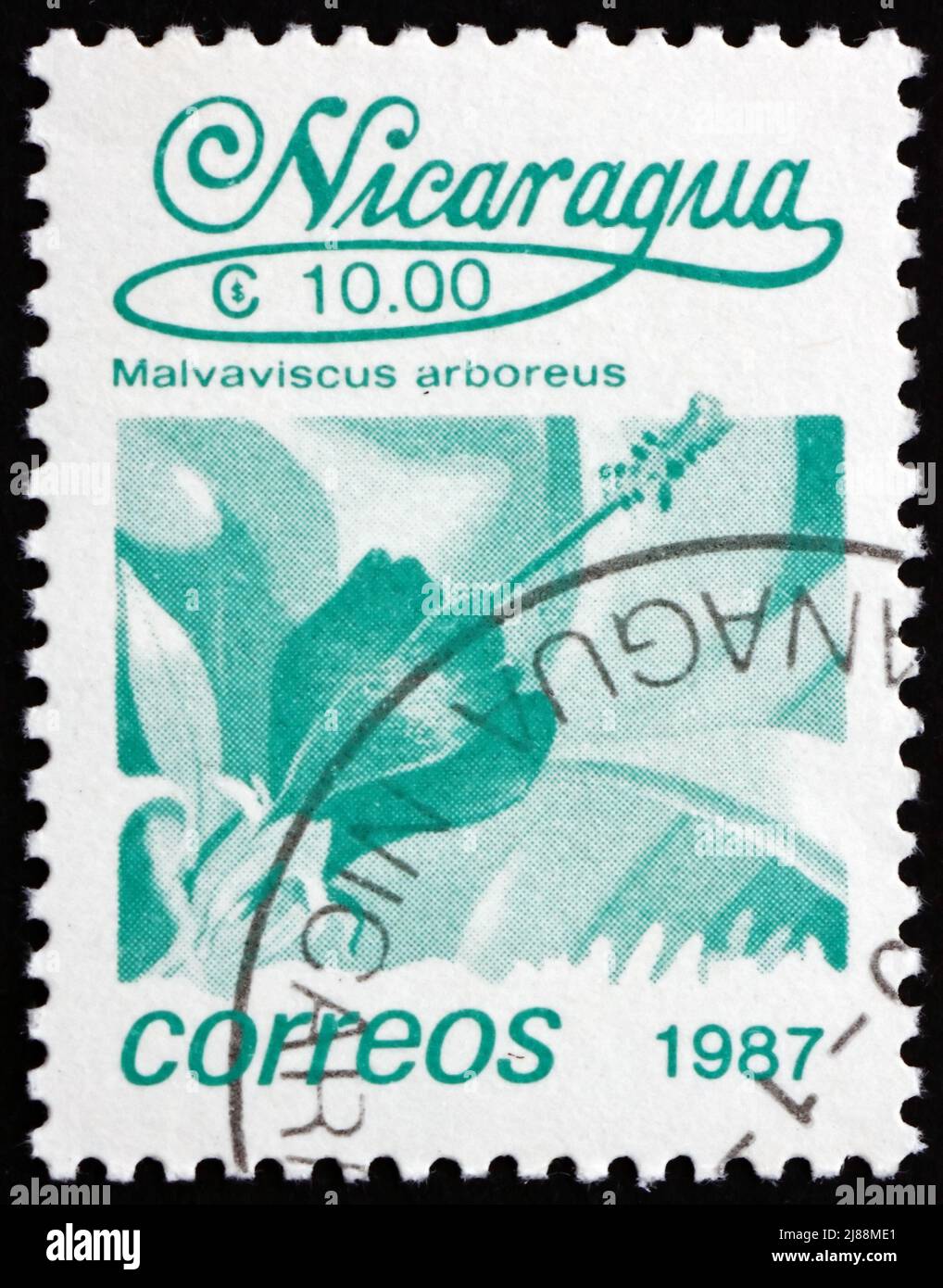 NICARAGUA - CIRCA 1987: a stamp printed in Nicaragua shows Turkcap, Malvaviscus Arboreus, Flower, circa 1987 Stock Photo