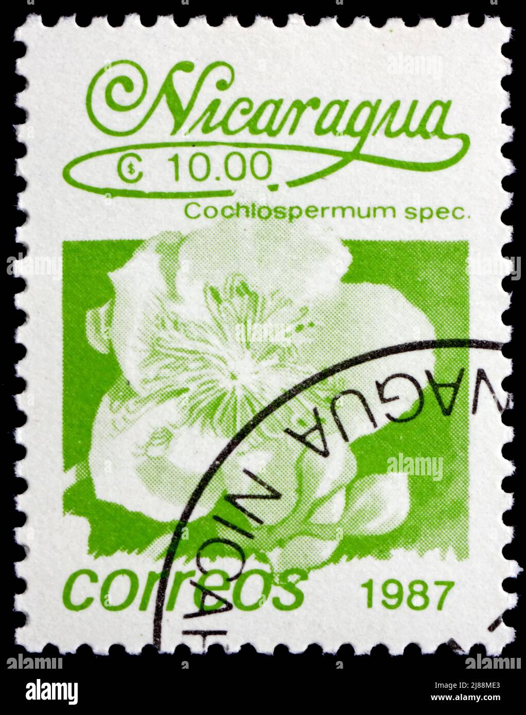 NICARAGUA - CIRCA 1987: a stamp printed in Nicaragua shows Cochlospermum Speciosa, Flower, Tree, circa 1987 Stock Photo