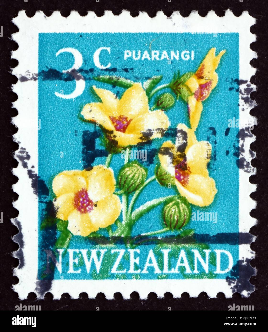 NEW ZEALAND - CIRCA 1967: a stamp printed in the New Zealand shows Puarangi, New Zealand Hibiscus, Hibiscus Trionum, Flowering Plant, circa 1967 Stock Photo