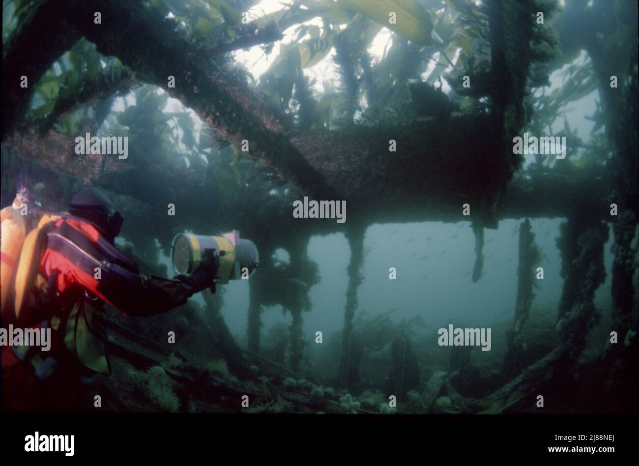 Diver inside the sunken Block Ships, Orkney Isles, Was attempting to protect Scapa flow during the Second World War. Some are very scenic. Stock Photo