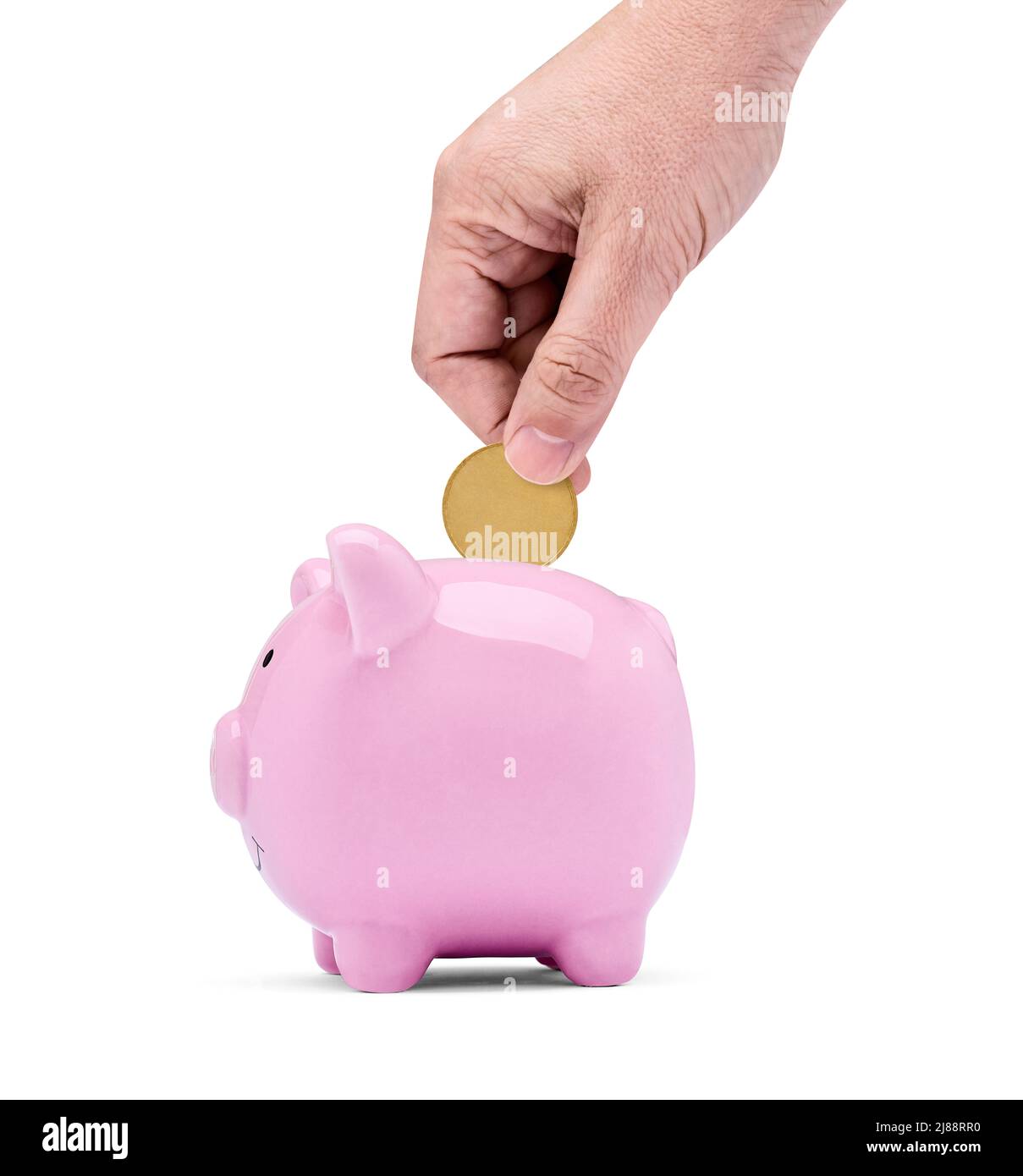 coin finance saving money piggybank business investment banking piggy bank pig wealth Stock Photo
