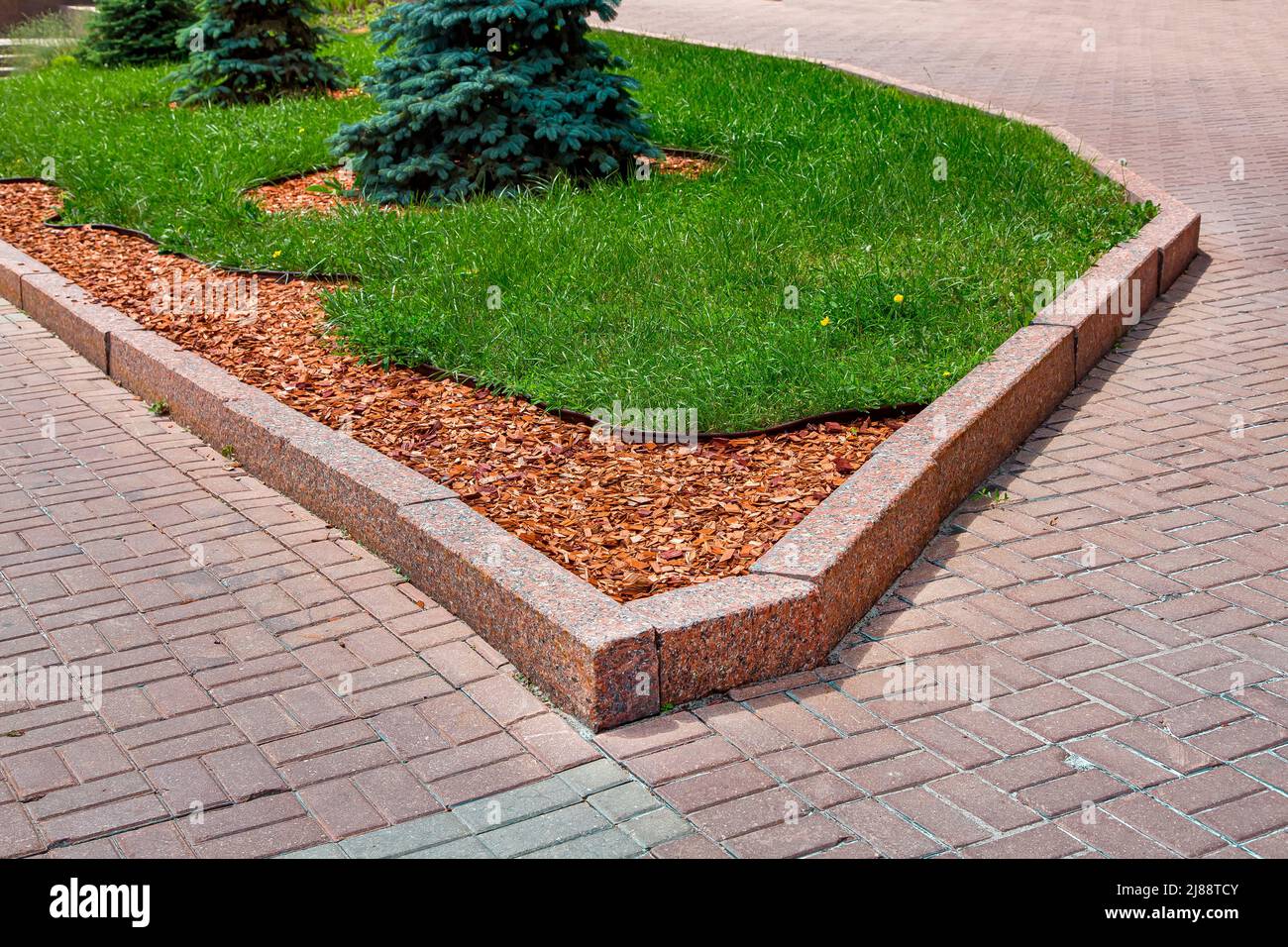 pine mulch on the garden bed on park. City scape landscape design with
