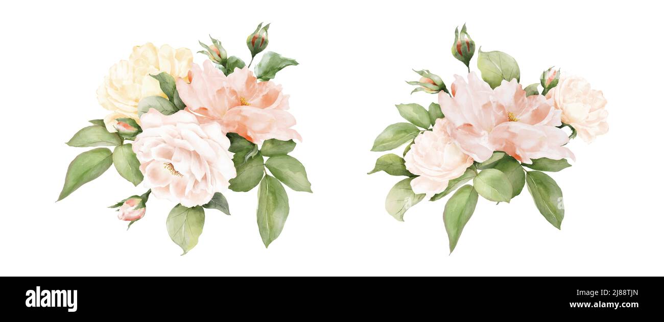 Set of rose bouquet decorative watercolor. Vector arrangements for ...