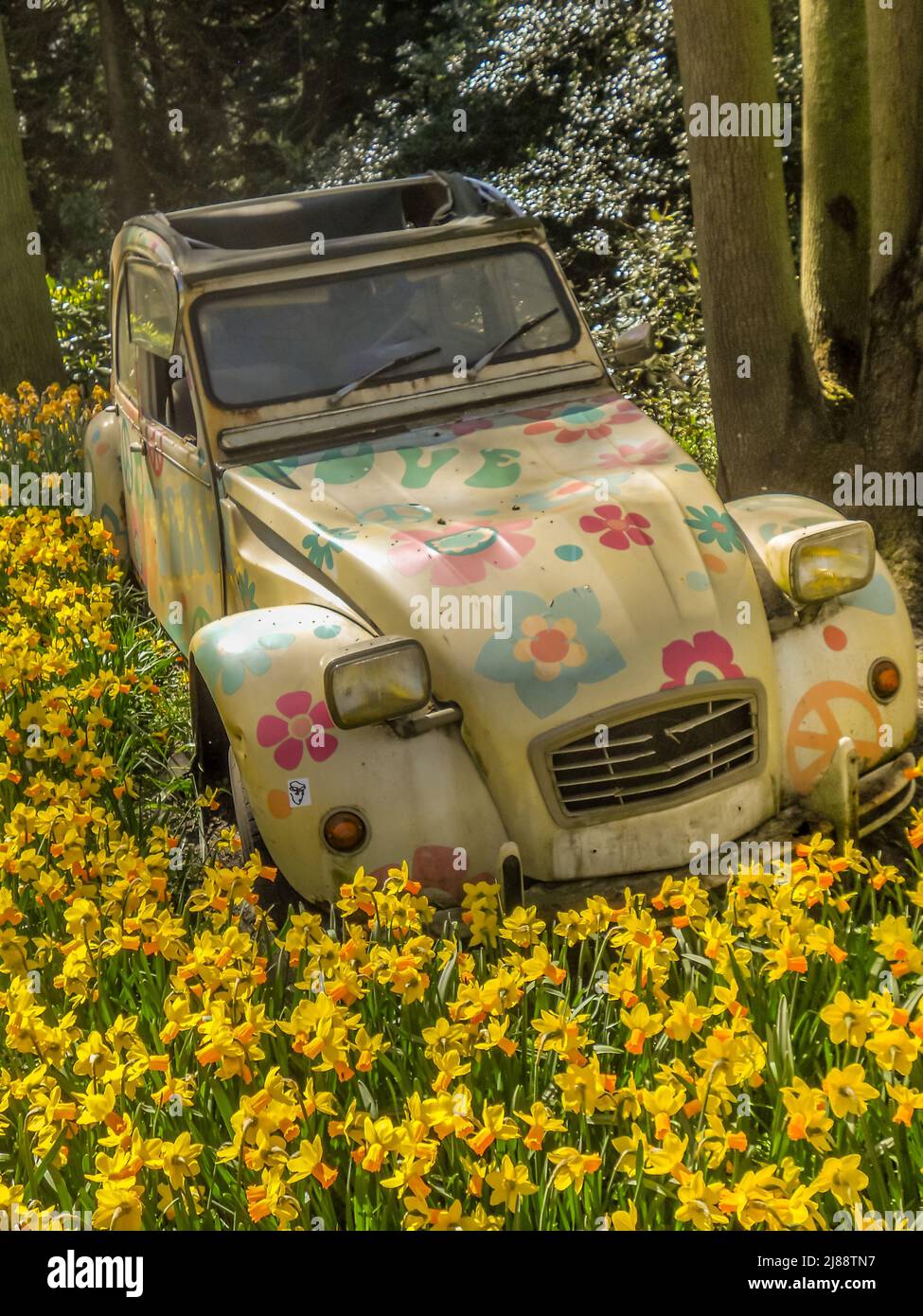 Old car overgrown by plants hi-res stock photography and images - Alamy
