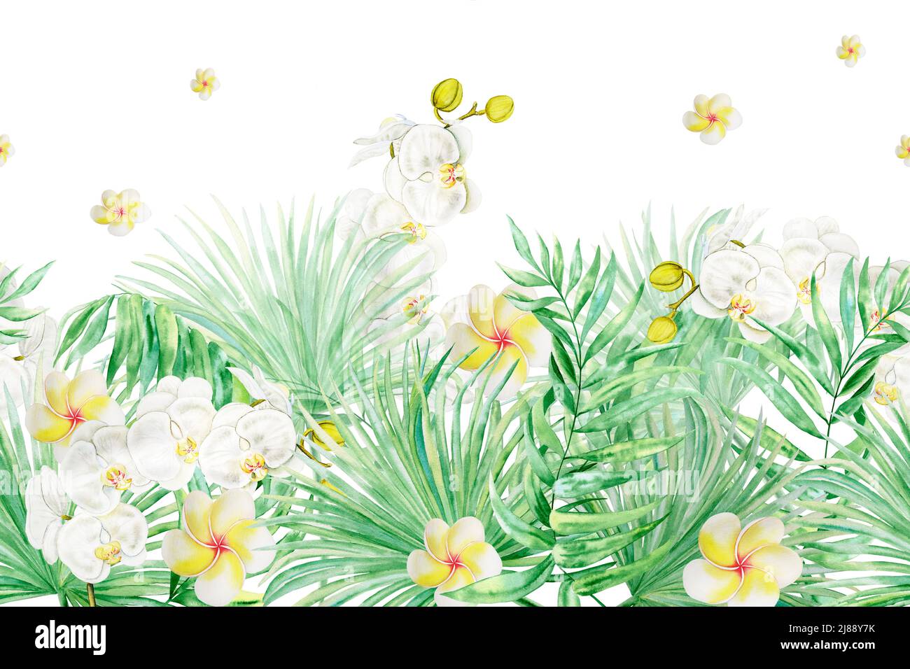 Hand drawn flowers and leaves of tropical plants. Seamless line ...