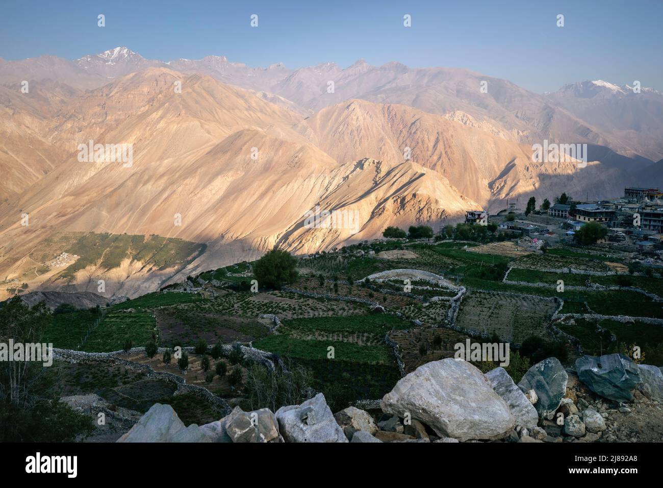 Elevated view of terraced fields with crops and dry stone walls against steep slopes and peaks of Himalayas under blue sky viewed from Nako, India. Stock Photo