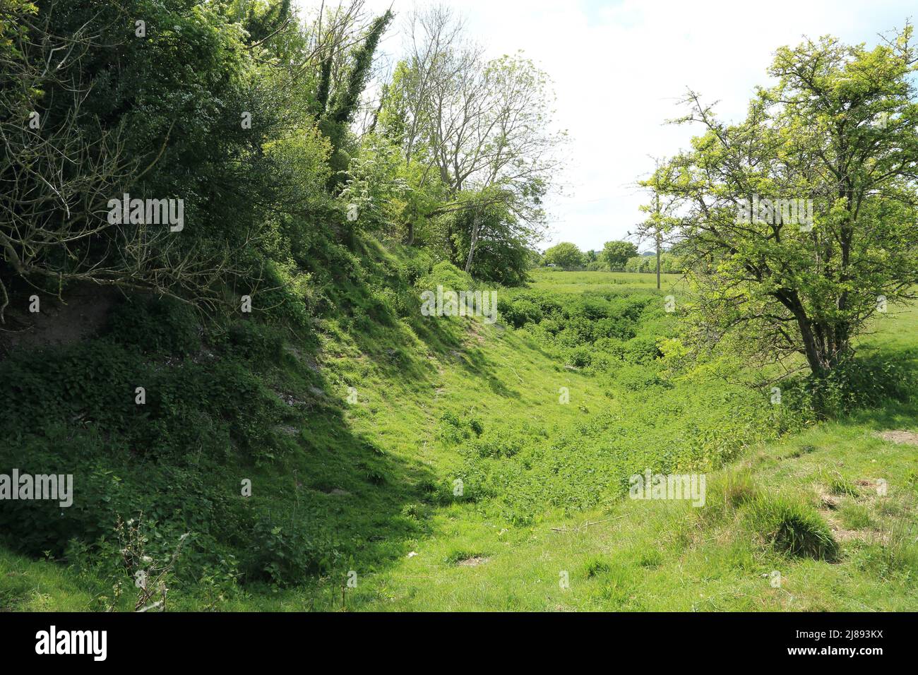 Earthworks ditch believed to be a motte and bailey outside St Pancras Church at Coldred near Dover, Kent, England, United Kingdom Stock Photo