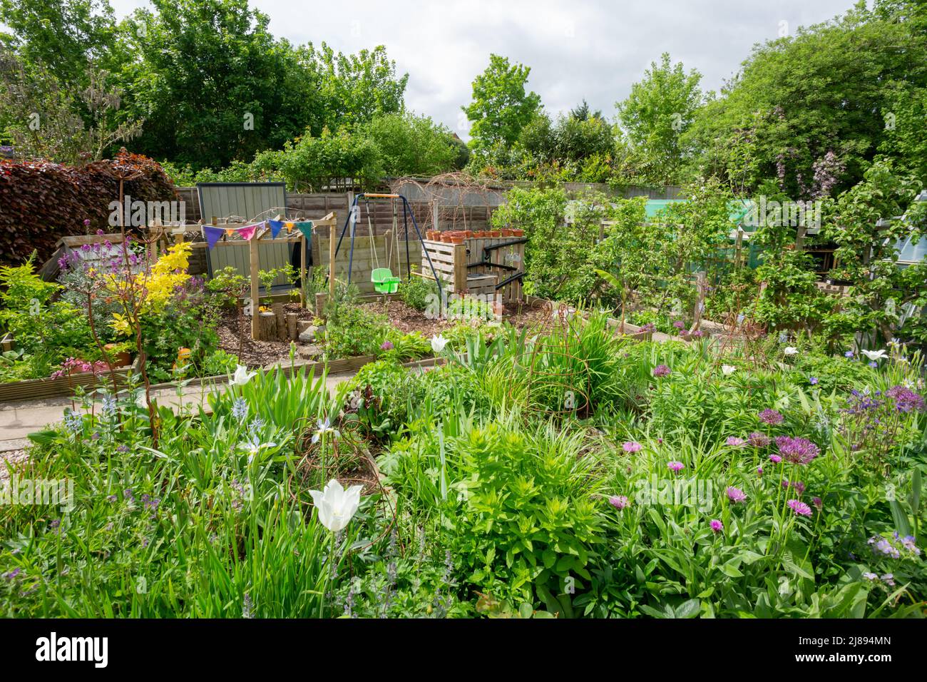Typical back garden of a house in the UK in spring, 2022 Stock Photo