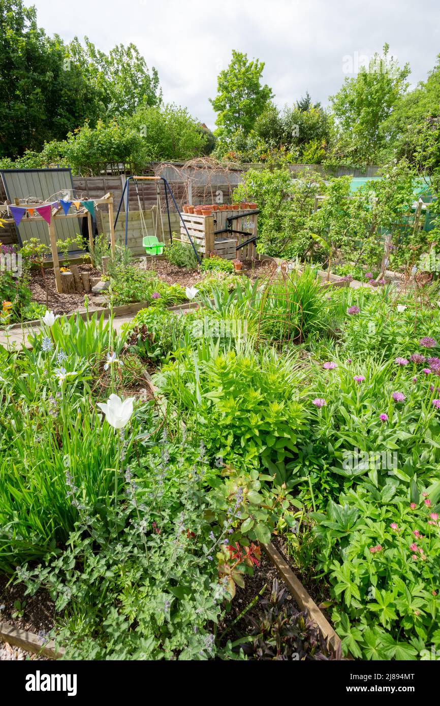 Typical back garden of a house in the UK in spring, 2022 Stock Photo