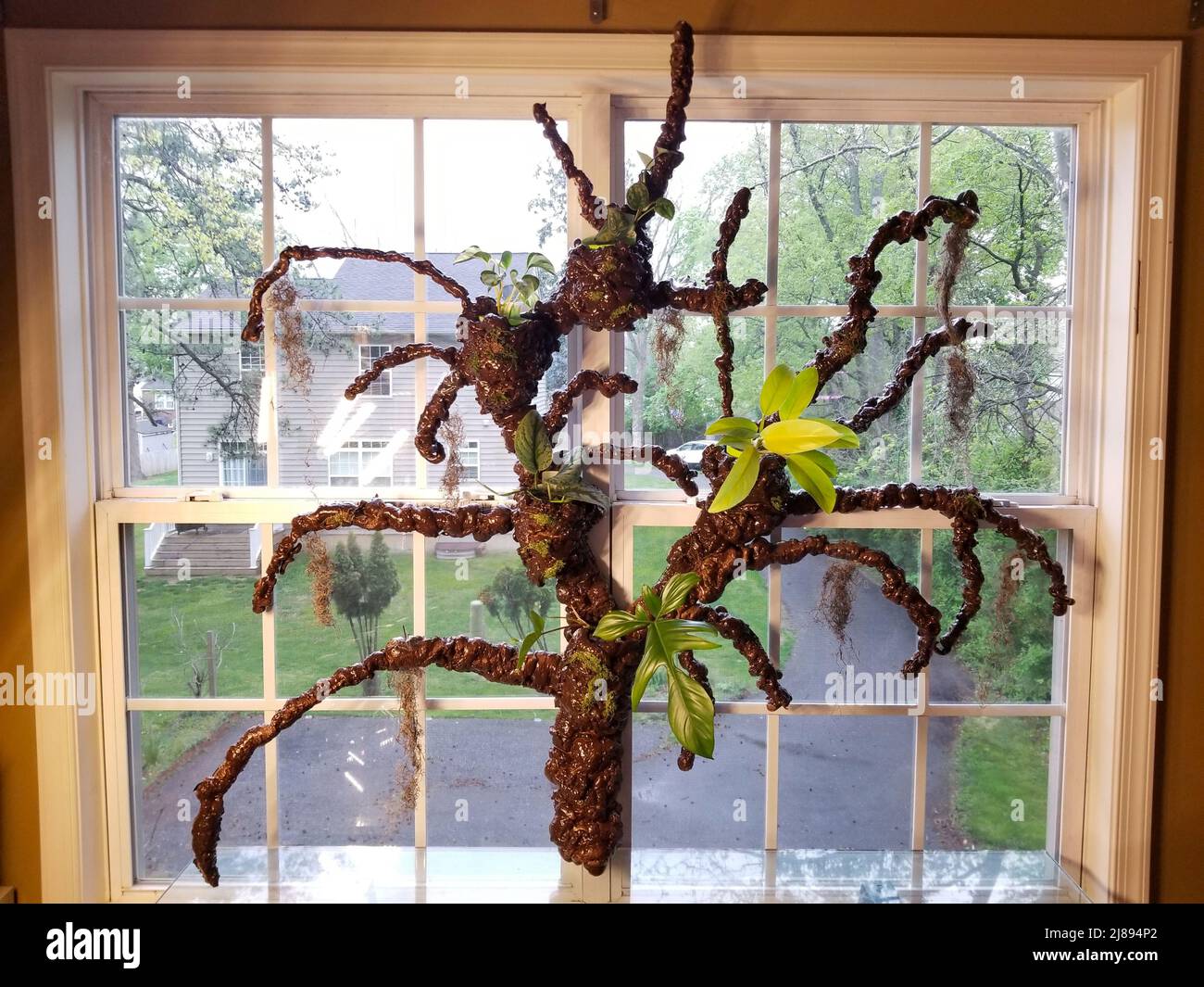 Shiny and brown tree branches and plant holders made with foam spray
