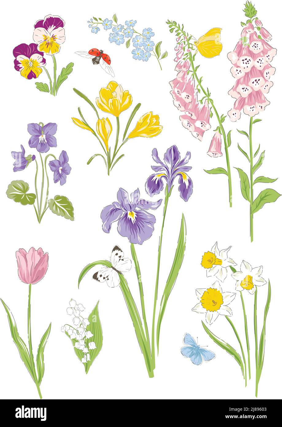 Variety spring flowers botanical hand drawn vector illustration set ...
