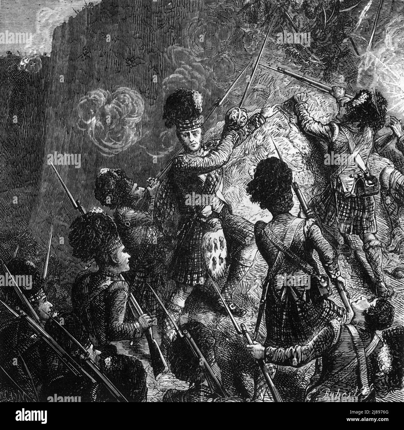 Maitland peregrine hires stock photography and images Alamy