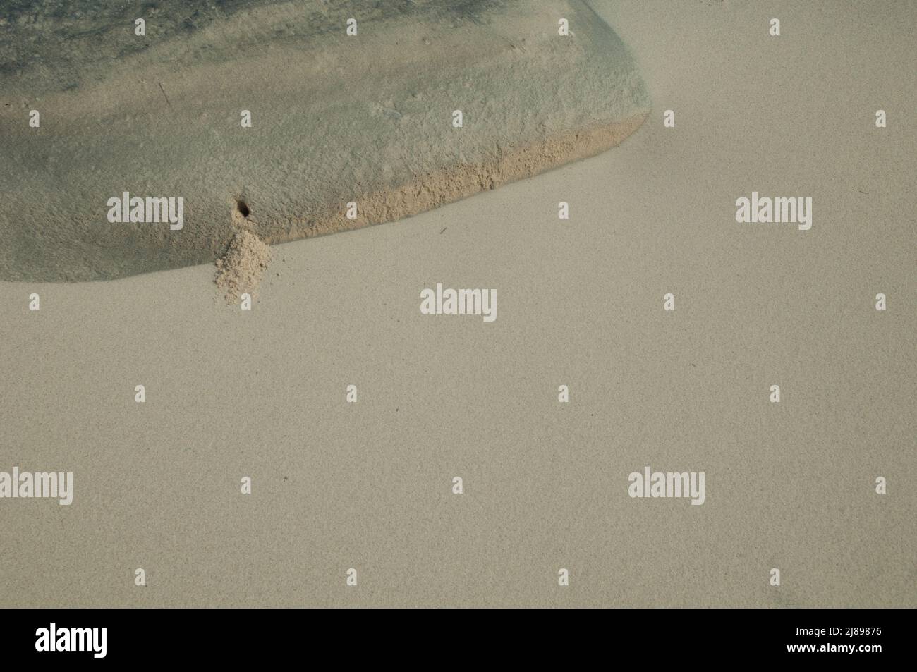 Hole of a crab in a beach. Langue de Barbarie National Park. Saint