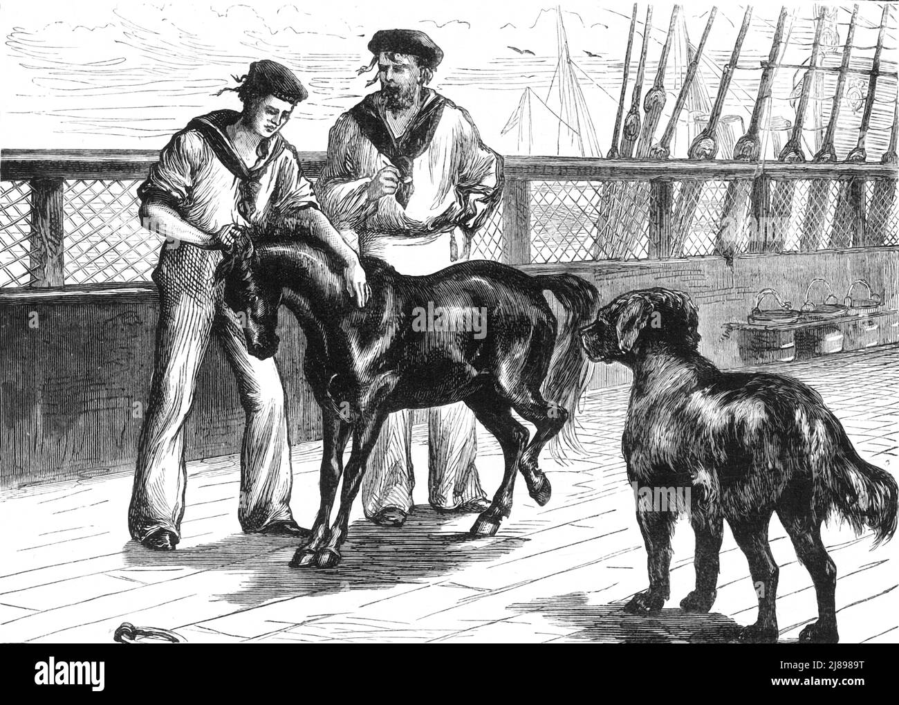 'On Board The &quot;Serapis&quot;: The Pony and Thibet Mastiff', c1891. From &quot;Cassell's Illustrated History of India Vol. II.&quot;, by James Grant. [Cassell Petter &amp; Galpin, London, Paris and New York] Stock Photo